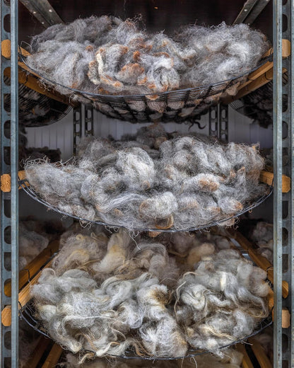 EVENT – Meet London Wool