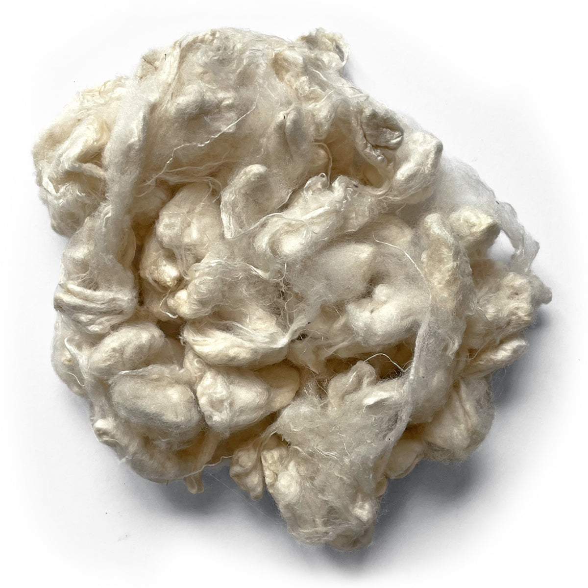 Silk Fibre - Cocoons