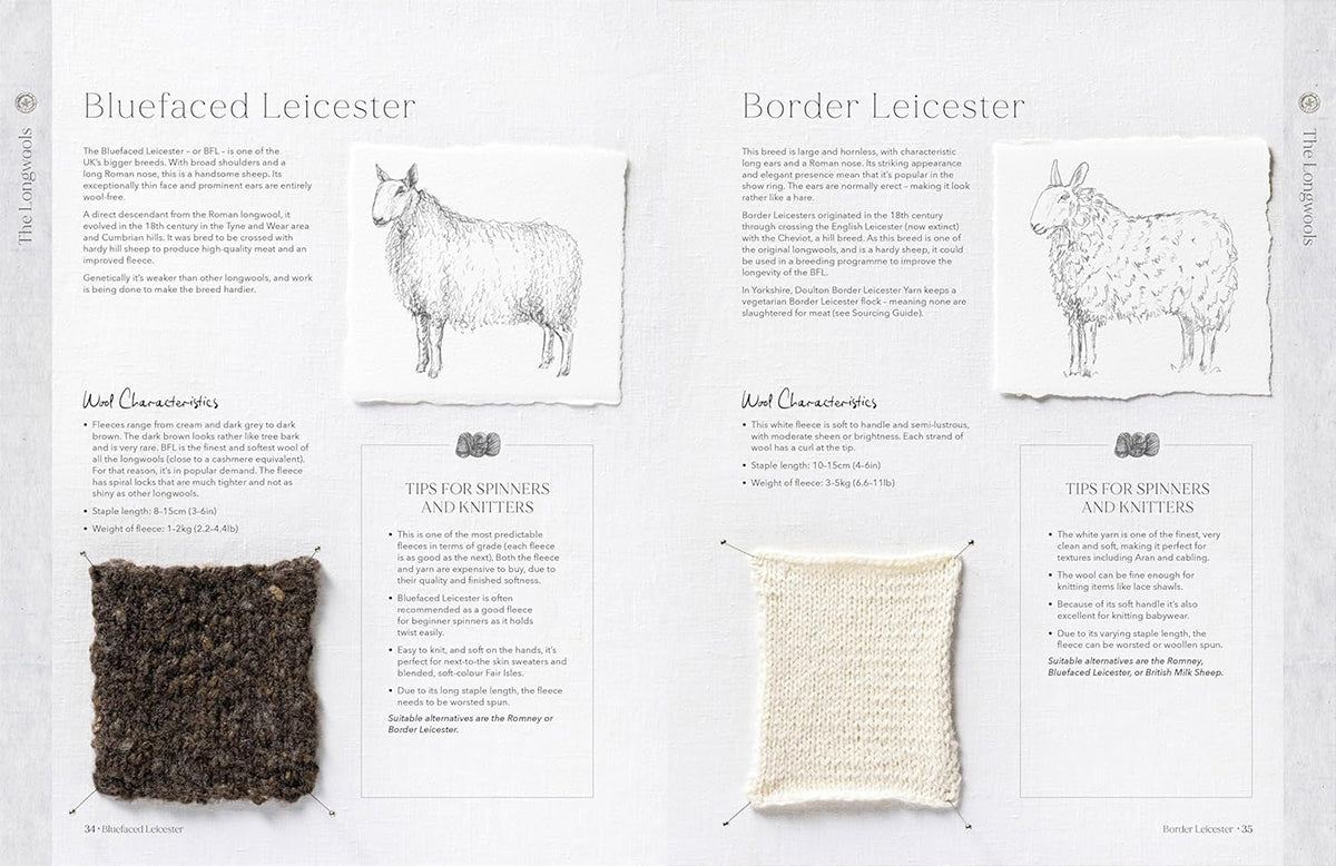 The Wonder of Wool