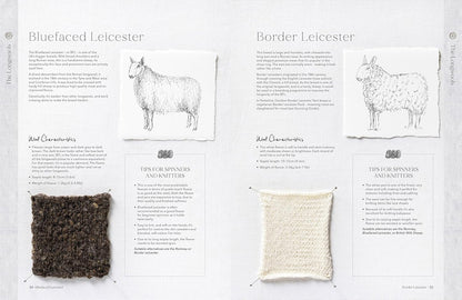 The Wonder of Wool