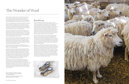 The Wonder of Wool
