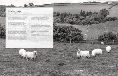 The Wonder of Wool